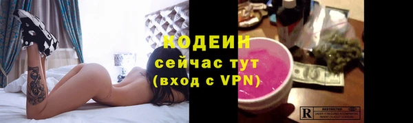 PSILOCYBIN Горняк