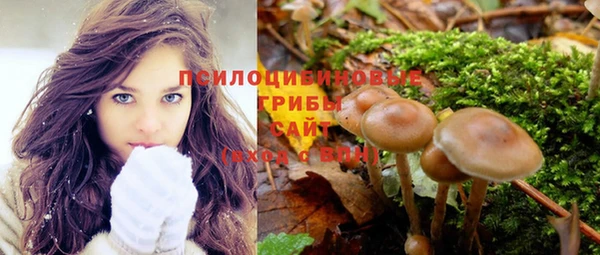PSILOCYBIN Горняк