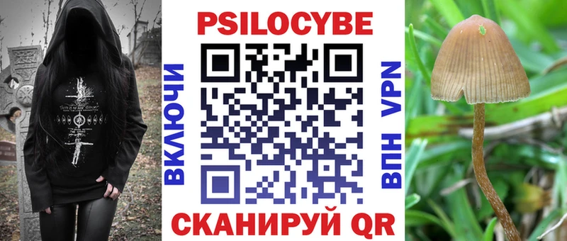 Купить где  Камень-на-Оби  Псилоцибиновые грибы мицелий 